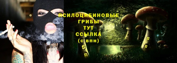 героин Алексин