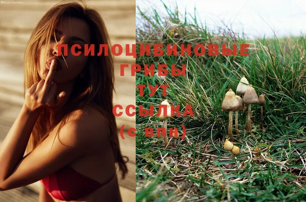 эйфоретик Алексеевка